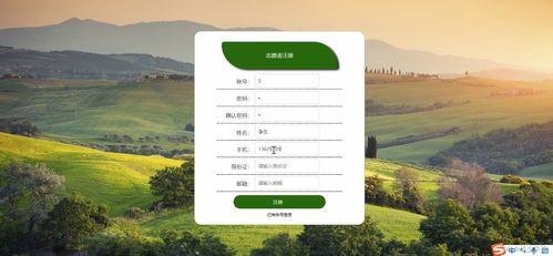 兒童安全新防線 基于SSM的防兒童走失網(wǎng)站設(shè)計(jì)與應(yīng)用